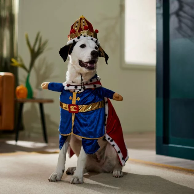 Frisco Front Walking Royal King Dog & Cat Costume 9 Frisco Front Walking Royal King Dog & Cat Costume - Image 7
