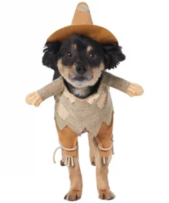 Frisco Front Walking Scarecrow Dog & Cat Costume