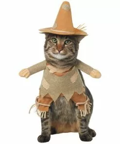 Frisco Front Walking Scarecrow Dog & Cat Costume -Pet Food Gear Shop 335133 PT2. SY630 V1658348508