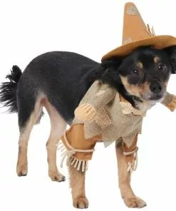Frisco Front Walking Scarecrow Dog & Cat Costume -Pet Food Gear Shop 335133 PT3. SY630 V1658349119