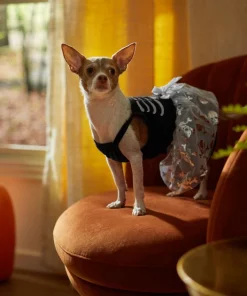 Frisco Silver Metallic Skull Dog & Cat Dress -Pet Food Gear Shop 335153 PT7. SY630 V1657719483