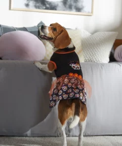 Frisco Sweet & Spooky Ruffle Skull Dog & Cat Dress -Pet Food Gear Shop 335161 PT7. SY630 V1657656882