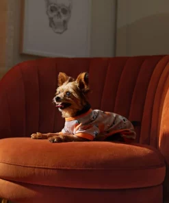 Frisco Spooky Printed Dog & Cat Jersey PJs -Pet Food Gear Shop 335170 PT7. SY630 V1657730462