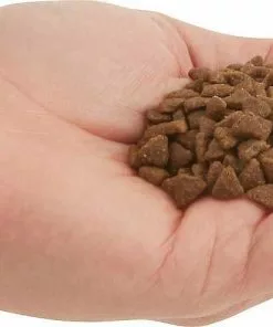 ACANA||Frisco ACANA First Feast Kitten Dry Cat Food + Frisco Multi-Cat Unscented Clumping Clay Litter -Pet Food Gear Shop 338643 PT3. SY630 V1635909934