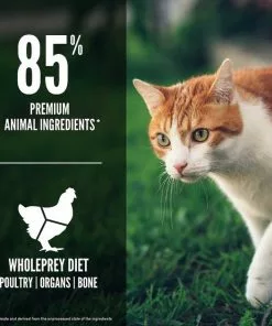 ORIJEN||Frisco ORIJEN Fit & Trim Grain-Free Dry Food + Frisco Colorful Springs Cat Toy -Pet Food Gear Shop 338697 PT4. SY630 V1635896619